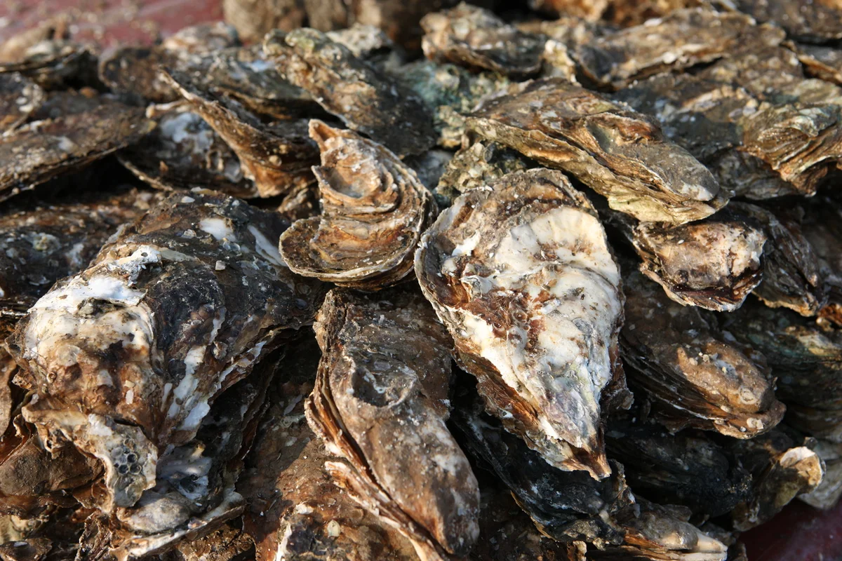 하동군 래프팅, 봄맞이 짜릿함! 섬진강 따라 즐기는 추천 5곳 3 화개장터 벚꽃축제 - 하동 여행