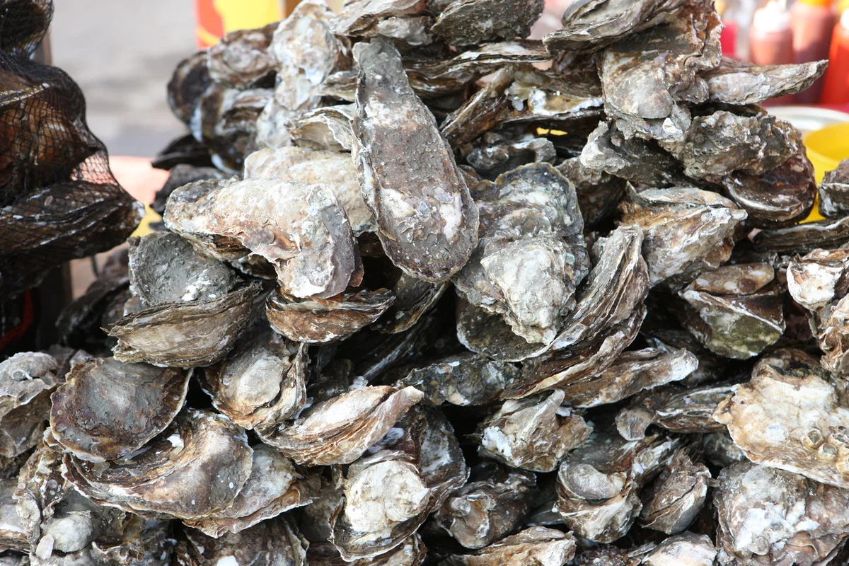 하동군 래프팅, 봄맞이 짜릿함! 섬진강 따라 즐기는 추천 5곳 4 스타웨이하동 - 하동 여행