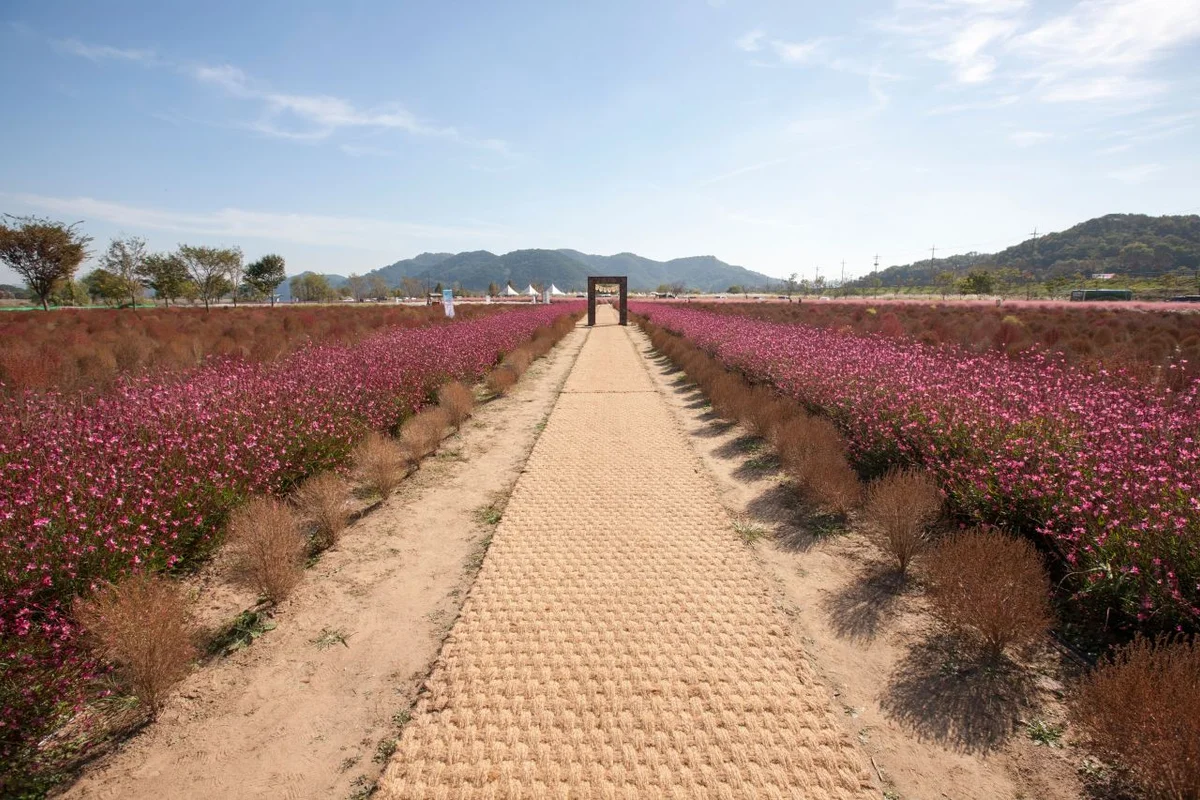 의령군 래프팅: 2026년 봄, 물가 명소와 근교 즐길거리 BEST 5 2 호국의병의숲 친수공원 - 의령여행 여행