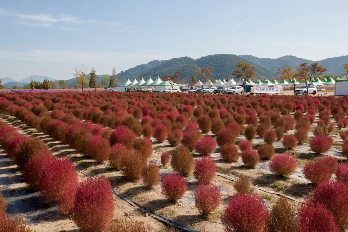 의령군 래프팅: 2026년 봄, 물가 명소와 근교 즐길거리 BEST 5 5 의령군민공원 - 의령여행 여행