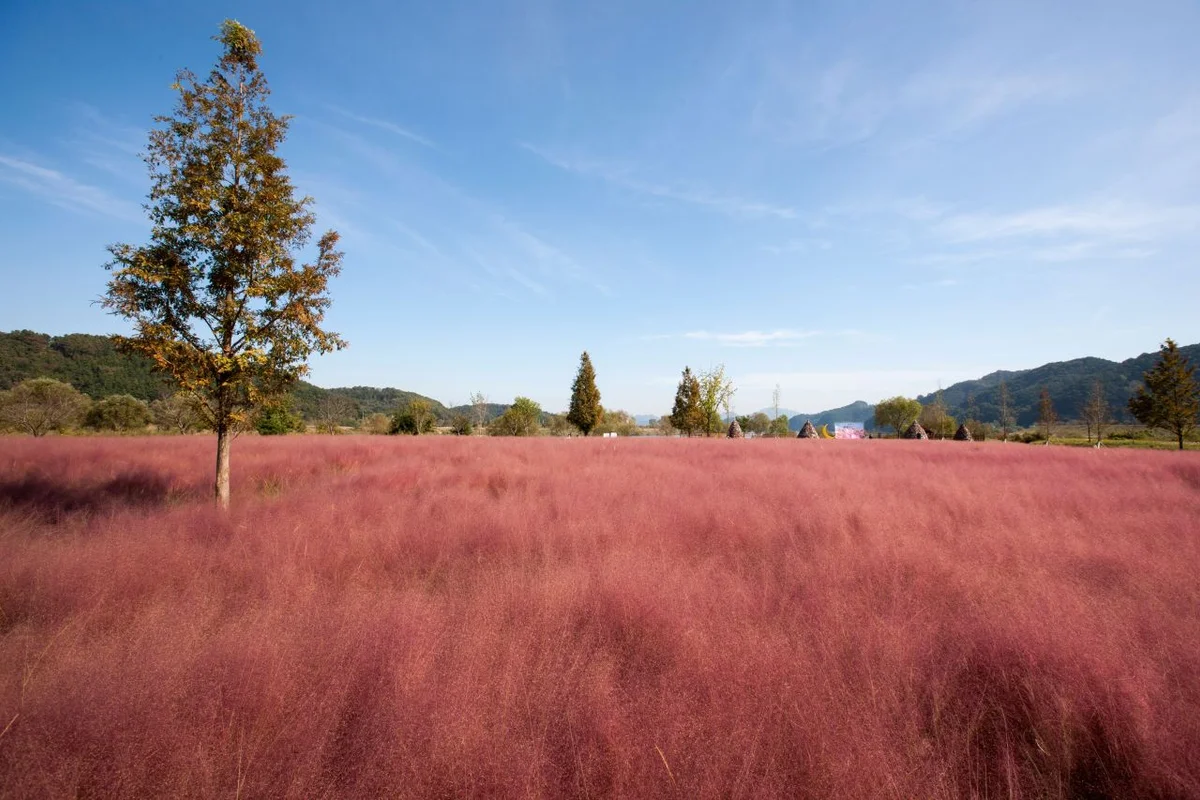 의령군 래프팅: 2026년 봄, 물가 명소와 근교 즐길거리 BEST 5 6 의령곤충생태학습관 - 의령여행 여행