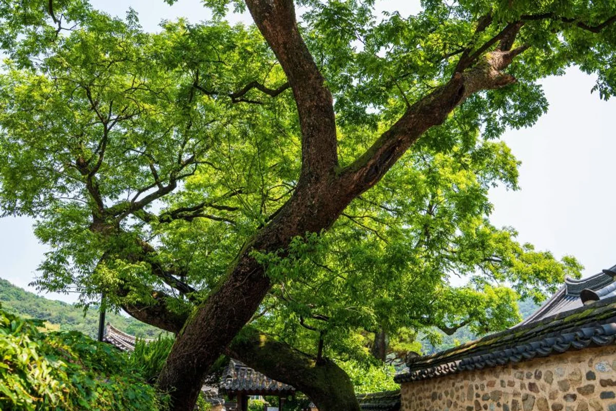 지리산 자양보오토캠핑장 - 산청군 여행