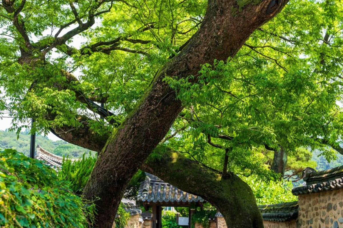 산가원 글램핑 - 산청군 여행