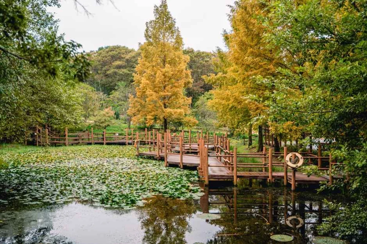 2026년 진주 실내 데이트, 봄날 후회 없는 선택 6가지 3 복지볼링장 - 진주 여행