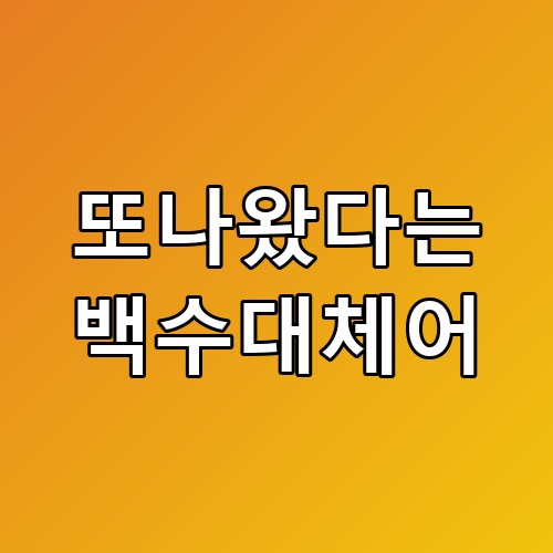 또나왔다는 백수대체어 놓치면 후회할 포인트