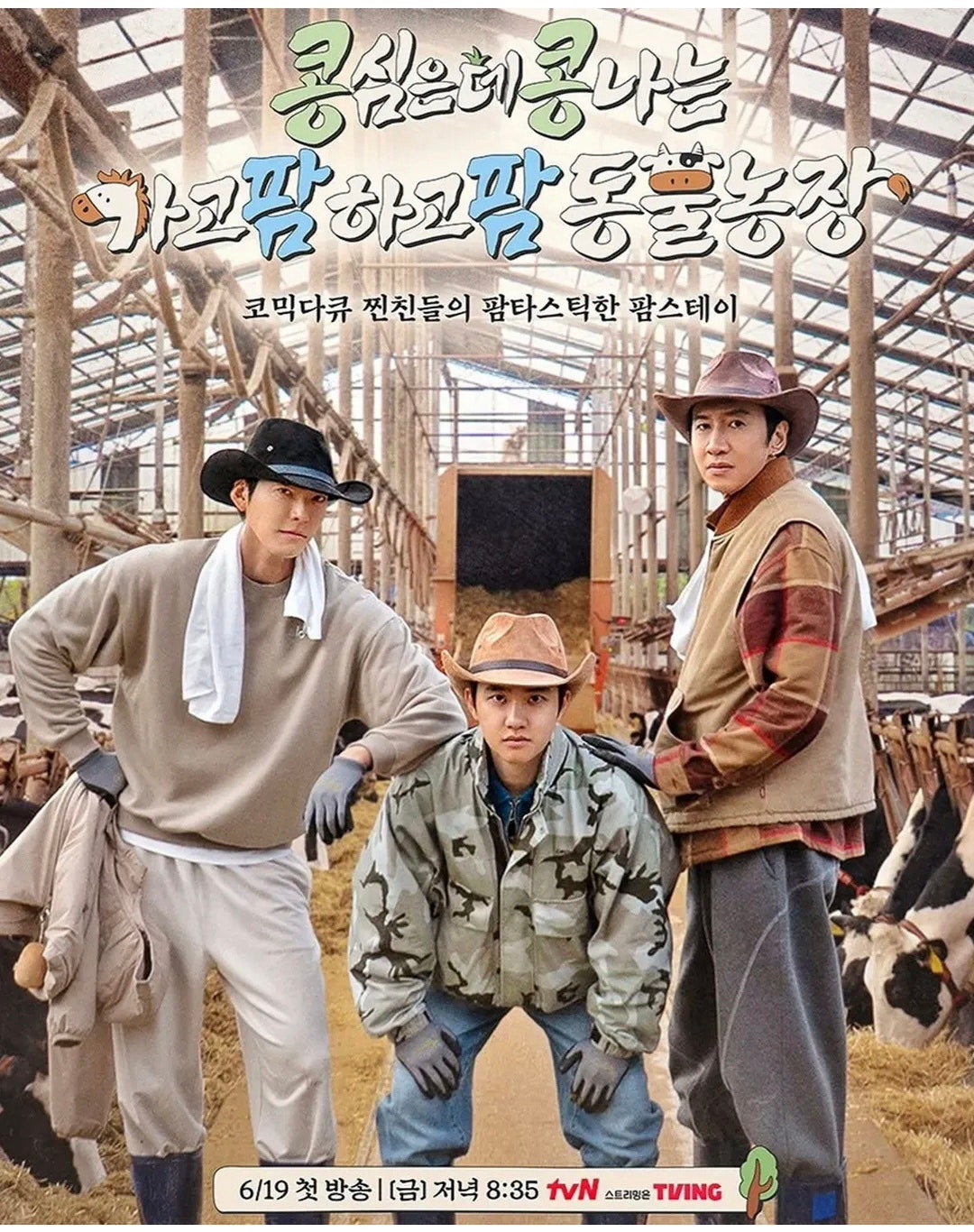 콩콩팜팜