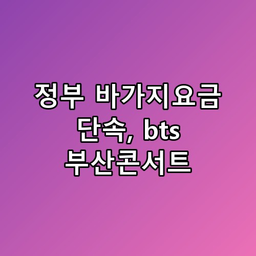 정부 바가지요금 단속 bts 부산콘서트 생각보다 복잡하더라고요